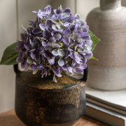 Vintage Cone Hydrangea Stem – Violet 